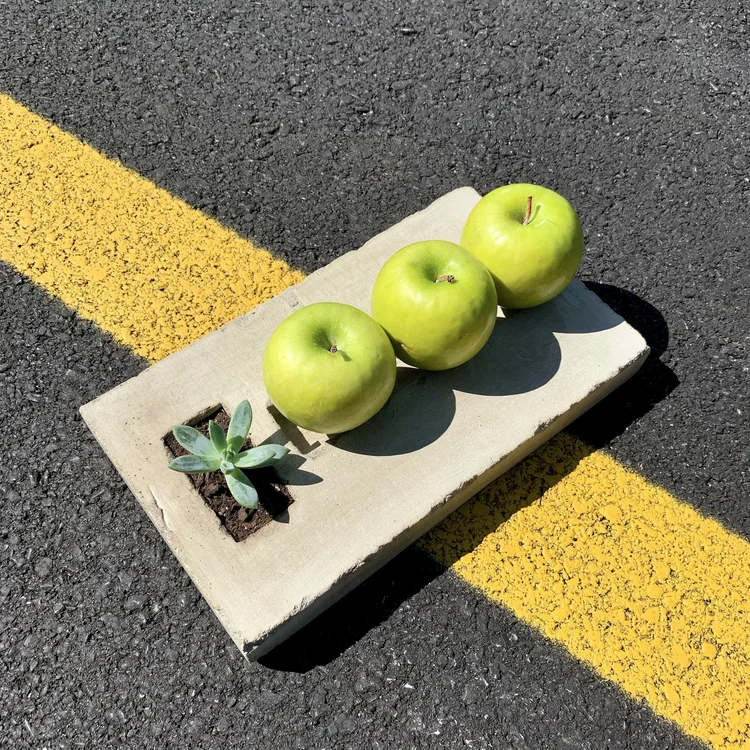 Applied Design 6